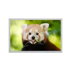 12,1 панель 800*600 G121S1-L02 REV C4 дюйма AUO LCD/дисплей REV C6 TFT LCD модуль